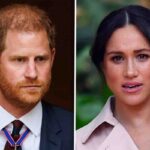 harry meghan tensione in famiglia