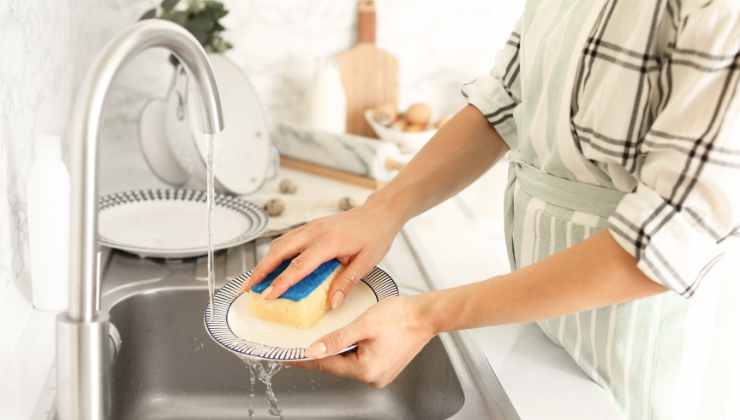 Ogni quanto va cambiata la spugna da cucina