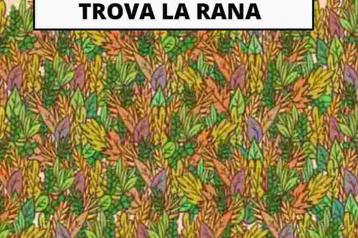 test trova la rana